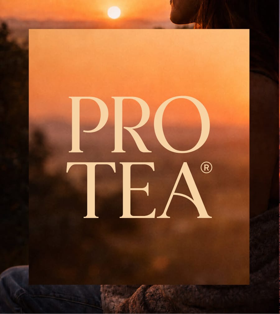 Protea brand logo design on orange background, by On Poynt Creative