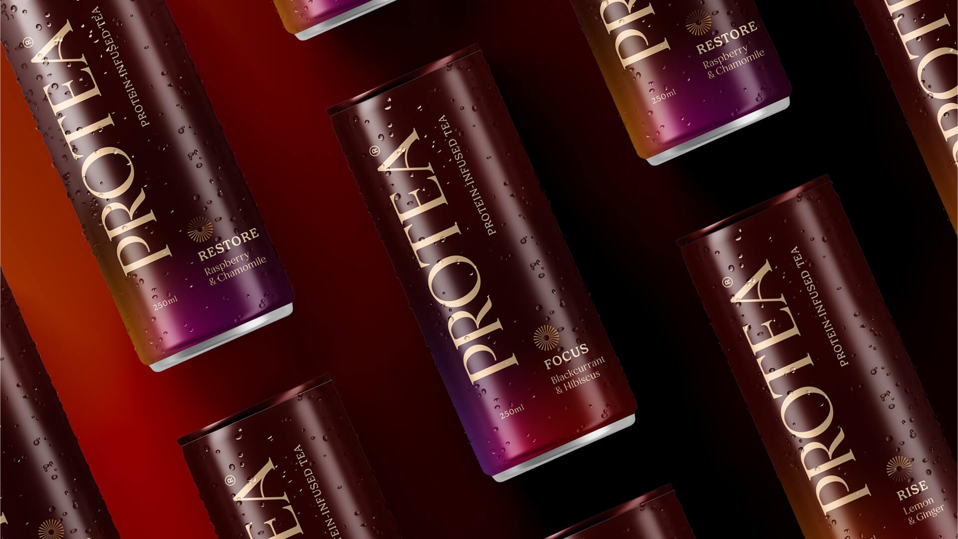 Close-up of Protea can packaging design by On Poynt Creative