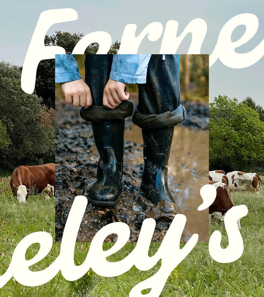Ferneley's Dairy logo on family farm photo, by On Poynt Creative
