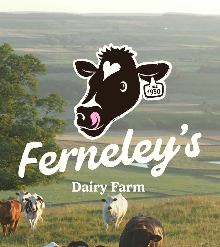Ferneleys Brand Evolution